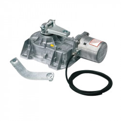 Moteur Came Frog 001FROG-A - Portail battant