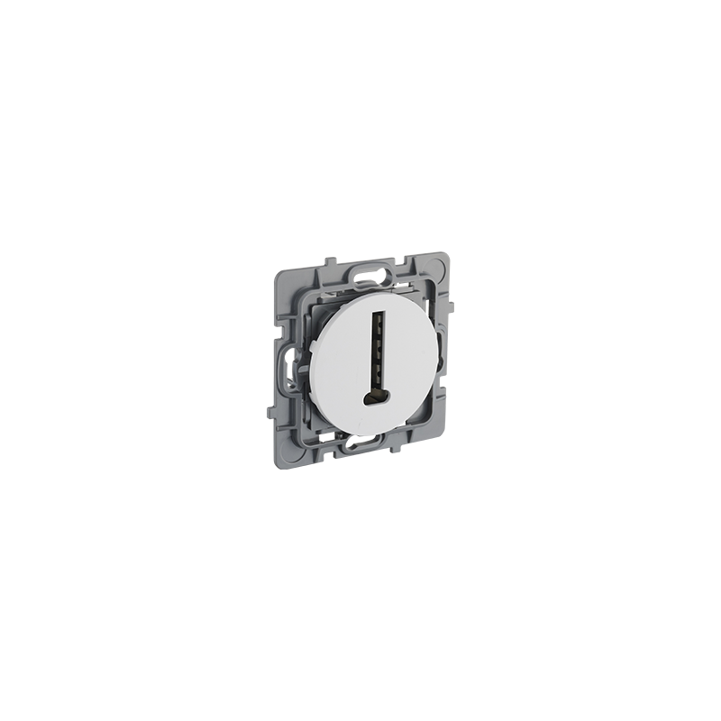 Prise téléphone en T blanc pur CASUAL EVOLUTION - Debflex 749613