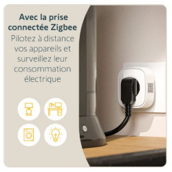 Prise connectée Zigbee appareils et consommation Somfy 1871215