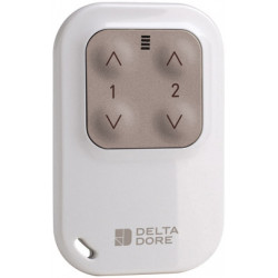 Télécommande Tyxia 1400 radio porte-clé 2 canaux - Delta Dore 6351388