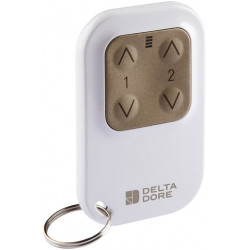 Télécommande Tyxia 1400 radio porte-clé 2 canaux - Delta Dore 6351388
