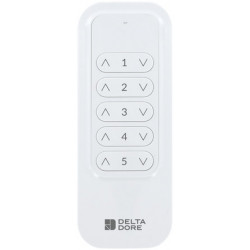 Télécommande Tyxia 1700 radio 5 canaux - Delta Dore 6351403