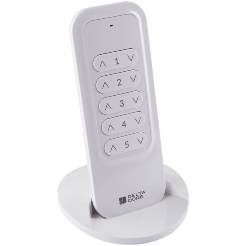 Télécommande Tyxia 1700 radio 5 canaux - Delta Dore 6351403