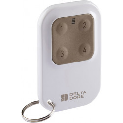 Télécommande Tyxia 1410 radio porte-clé 4 canaux - Delta Dore 6351389