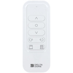 Télécommande Tyxia 1705 radio 1 canal - Delta Dore 6351405