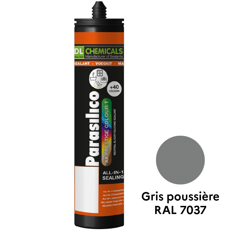 Parasilico AX Prestige Colour T DL Chemicals - Gris poussière RAL 7037