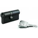 Cylindre STD Thirard noir 30x40 mm 3 clés crantées - 00216141