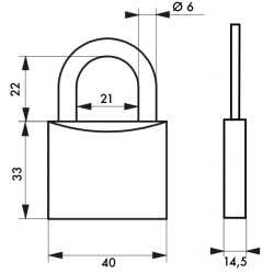 Cadenas Type 1 plus 40 mm 2 clés acier nickelé - Thirard 00080040