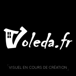 Tampons de remplacement pour escabeau acier Mondelin à partir de 2015