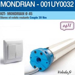 Motorisation volet roulant Came Mondrian 30nm 001UY0032
