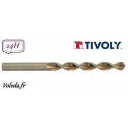 Tivoly-Foret 2 en 1 bois metal-Technic Ø4