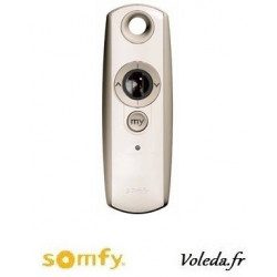 Telecommande Somfy Telis 1 variation Rts pure