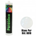 Silicone Parasilico prestige colour DL Chemicals – Blanc pur RAL 9010