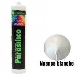 Silicone Parasilico prestige colour DL Chemicals - Blanc nuance - Destockage