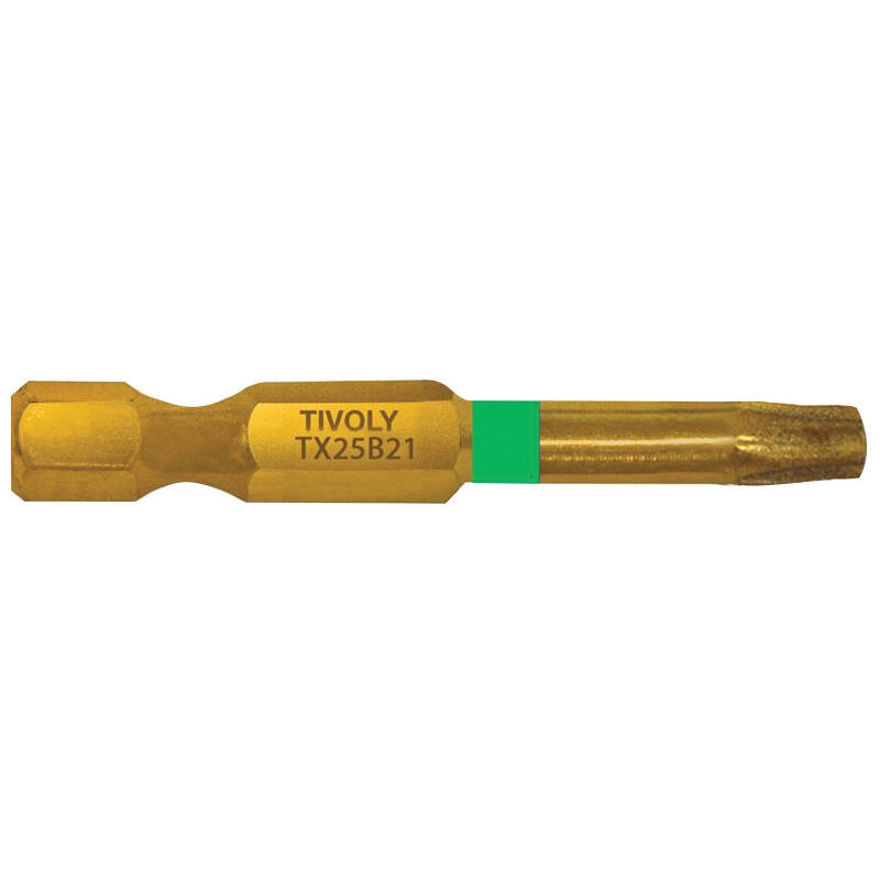 LAME embout tournevis TORX T30 25mm