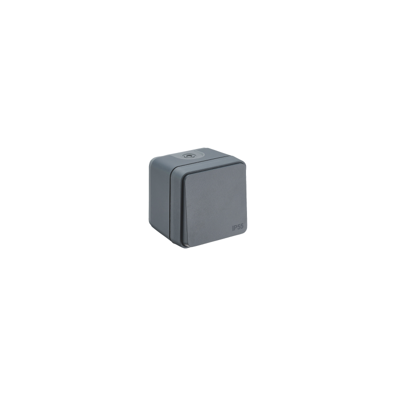 Va et vient en saillie Cyklone étanche anthracite - Debflex 730422 Va et vient en saillie Cyklone étanche anthracite - Debflex 730422