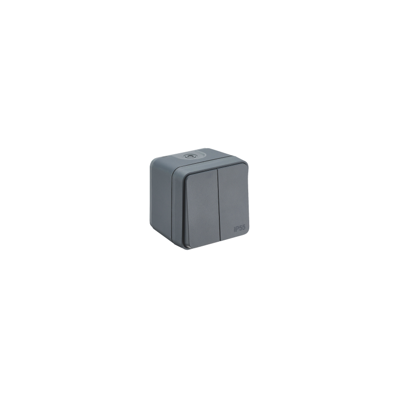 Double va et vient saillie Cyklone étanche anthracite - Debflex 730423 Double va et vient saillie Cyklone étanche anthracite - Debflex 730423