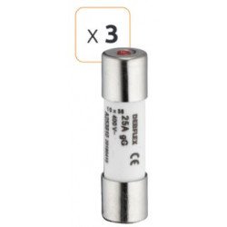Fusible céramique avec voyant 25A 400 V - Debflex 715686 - 3 pièces