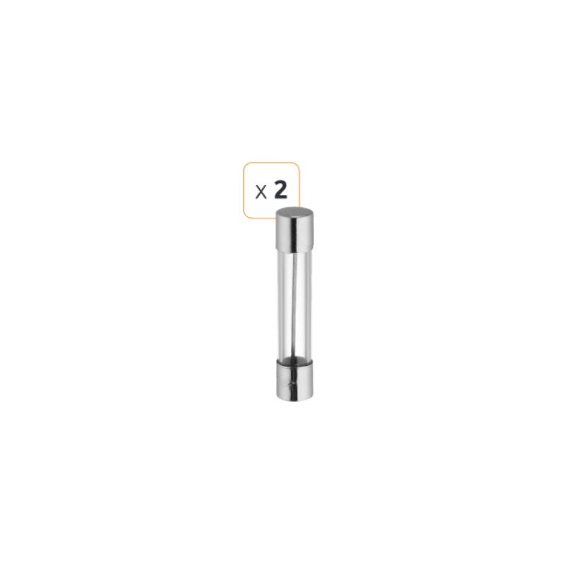 Fusible verre fusion rapide 0.2A 250 V - Debflex 715406 - 2 pièces Fusible verre fusion rapide 0.2A 250 V - Debflex 715406 - 2 pièces