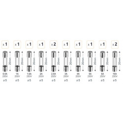 Fusible verre fusion rapide 250 V - Debflex 715019 - 12 pièces