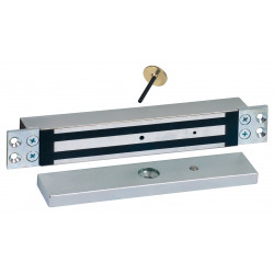 Ferme-porte avec bras compas Sewosy DC01 argent