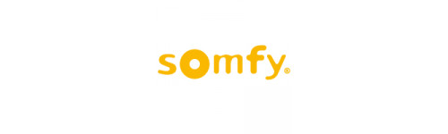 Visiophone Somfy