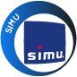 Anneau pour moteurs DMI Simu 165 mm