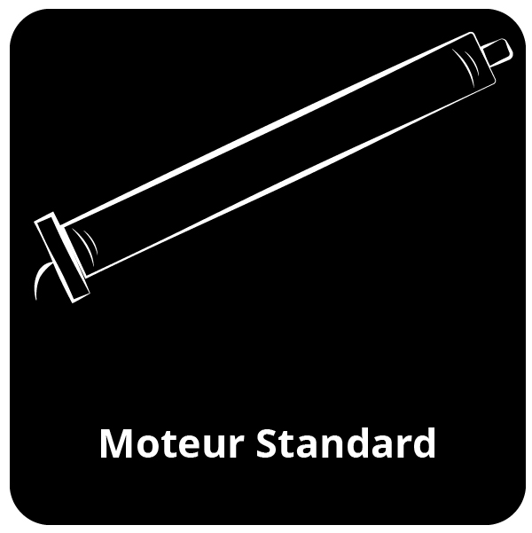 Moteur standard