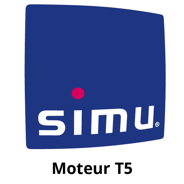 Moteur Simu T5