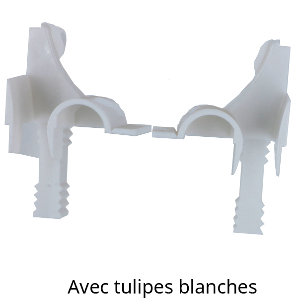 Avec tulipes blanches
