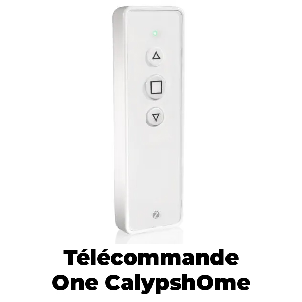 Télécommande portable One CalypshOme