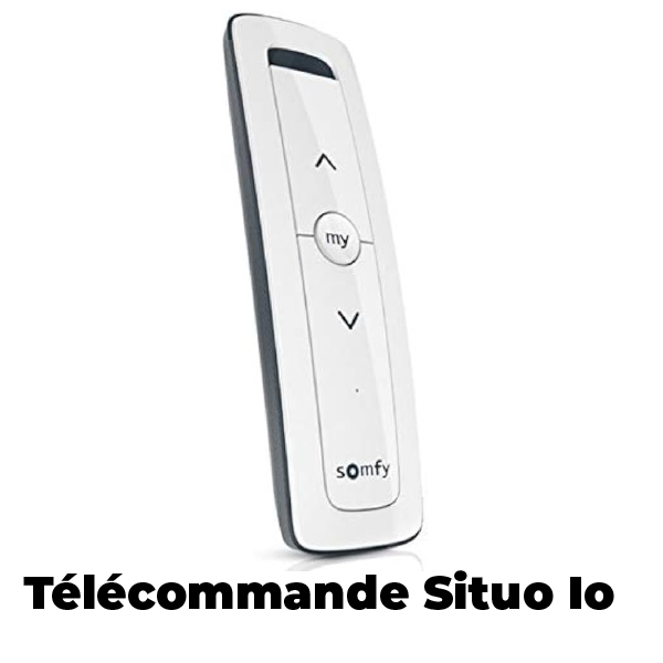 Télécommande Somfy Situo 1