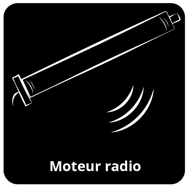 Moteur radio