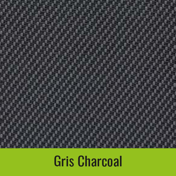 Gris charcoal
