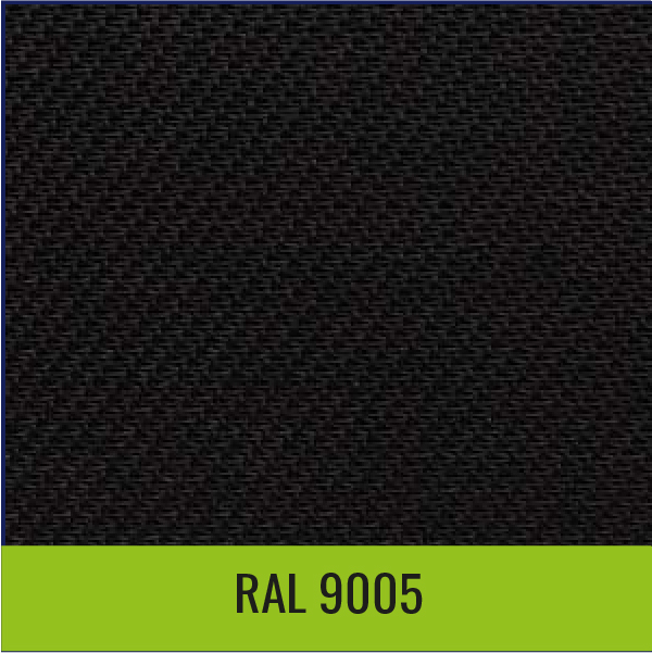 RAL 9005