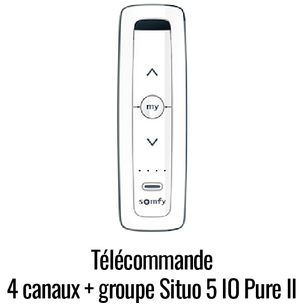 Télécommande 5 canaux Situo 5 IO Pure II