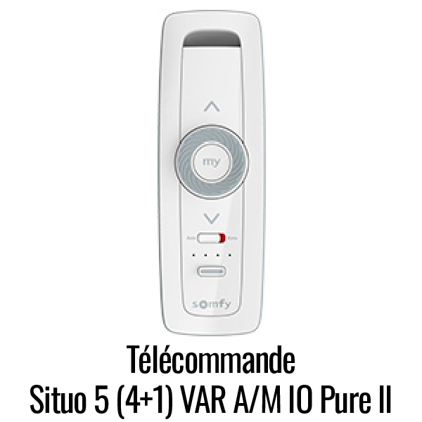Télécommande Situo 5 canaux VAR A/M IO Pure II