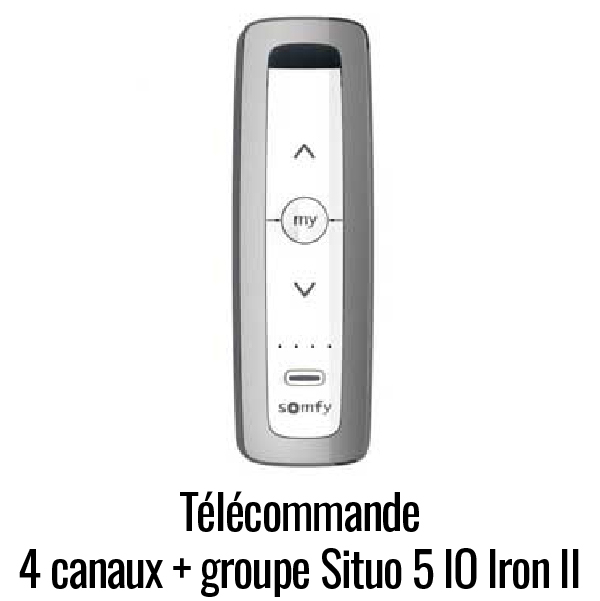 Télécommande 5 canaux Situo 5 IO Iron II