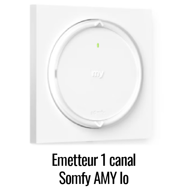 Emetteur 1 canal Somfy Amy Io