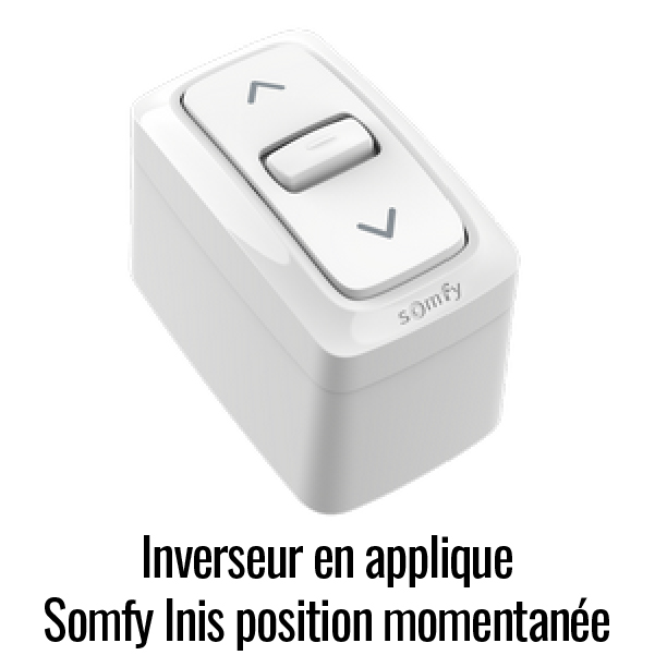 Inverseur Somfy Inis en applique momentané
