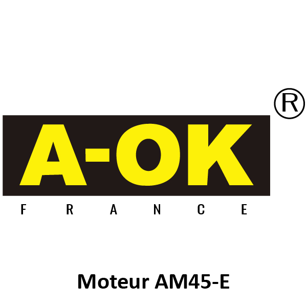 Moteur A-Ok AM45-E