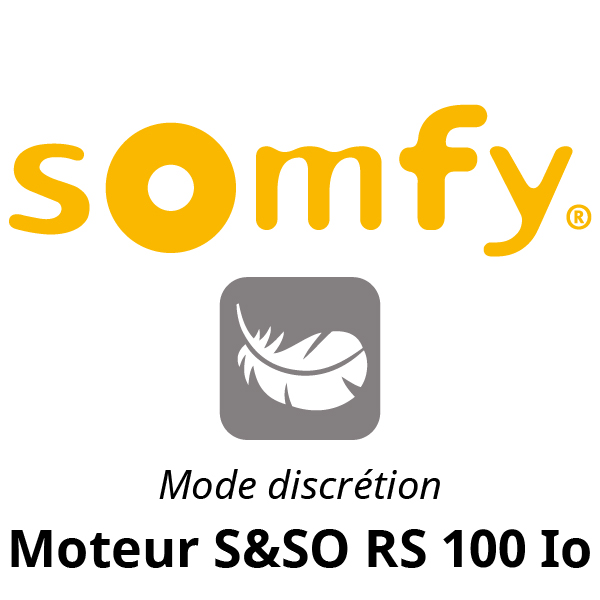 Moteur Somfy RS100 Solar IO