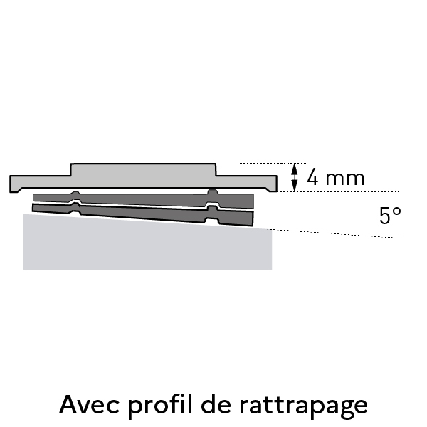 avec profil de rattrapage
