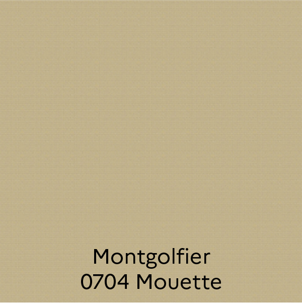 Montgolfier - 0704 Mouette