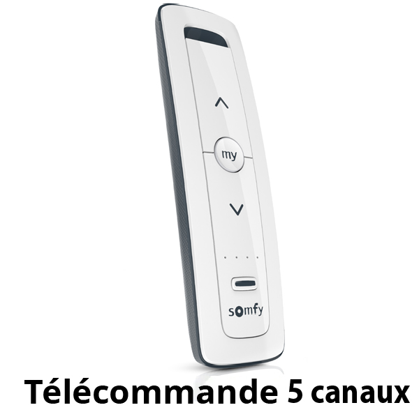 Télécommande 5 canaux