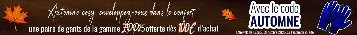 Automne cosy, enveloppez-vous dans le confort